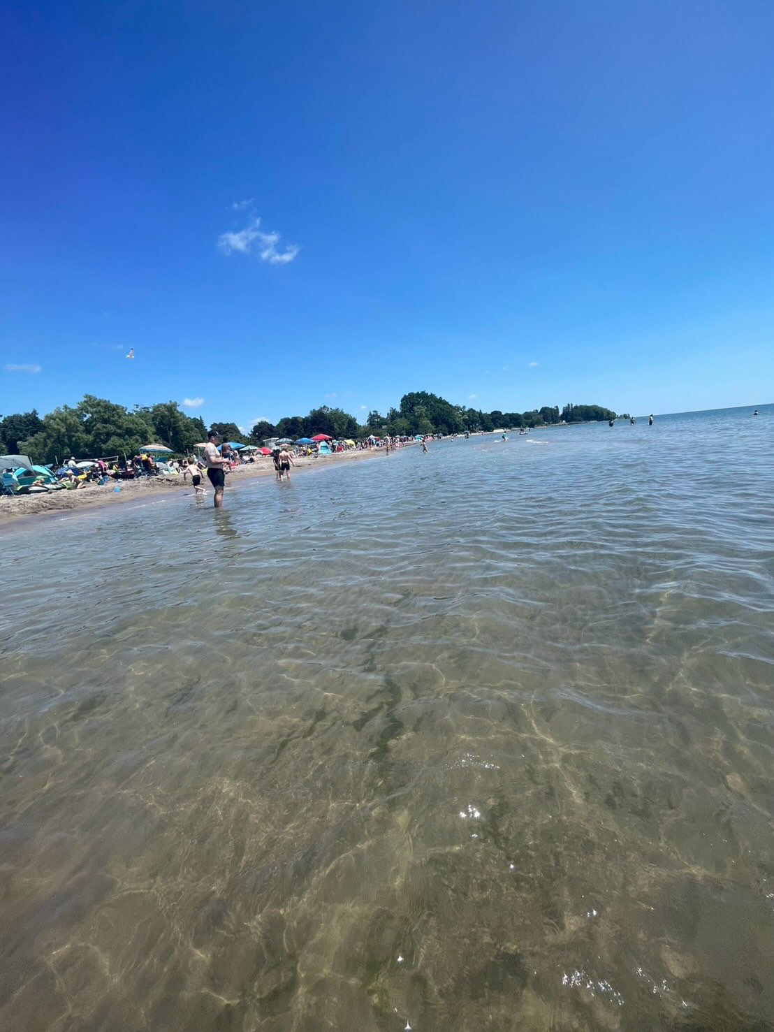 さやの海外日記🇨🇦